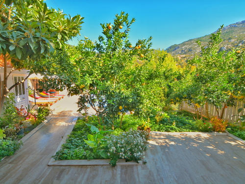  gece  -  Kasım
  | Kalkan İslamlar’da Jakuzili, Korunaklı ve Doğa İçinde Özel Villa